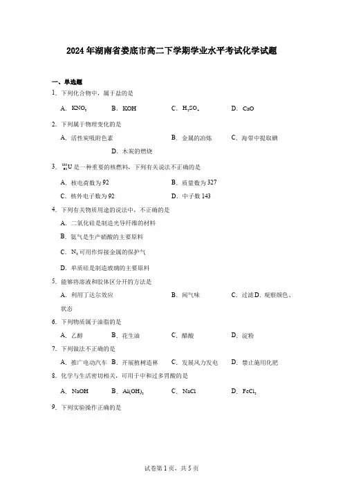 2024年湖南省娄底市高二下学期学业水平考试化学试题