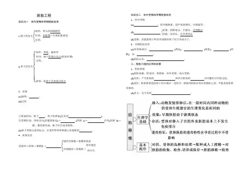 胚胎工程