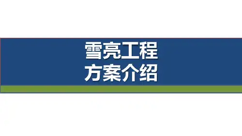 四川电信“雪亮工程”方案介绍-V1.0(1)