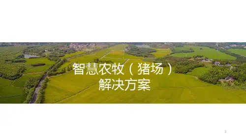 【全文】智慧农牧解决方案