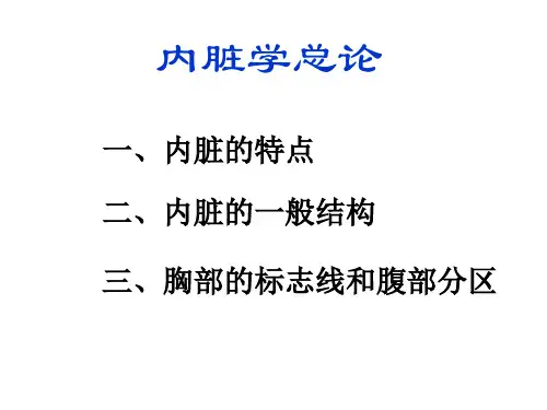 人体解剖学--消化系统PPT课件