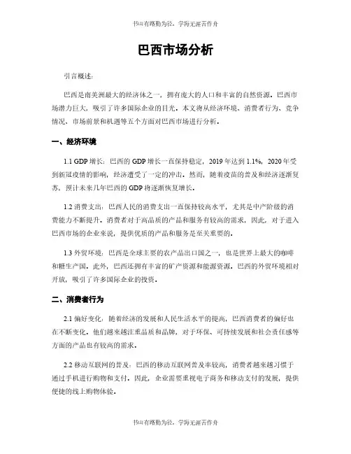 巴西市场分析
