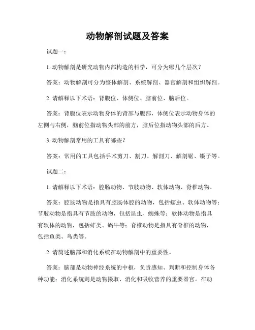 动物解剖试题及答案