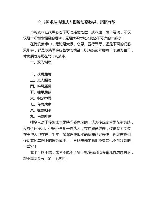 9式国术技击秘技！图解动态教学，招招制敌