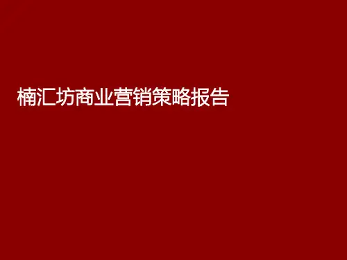 商业营销策略报告