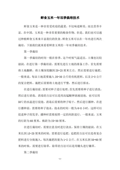 鲜食玉米一年双季栽培技术