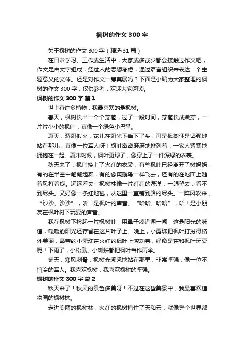 关于枫树的作文300字（精选31篇）