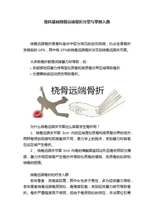 骨科基础桡骨远端骨折分型与掌侧入路