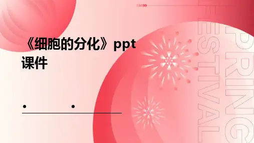 《细胞的分化》课件2
