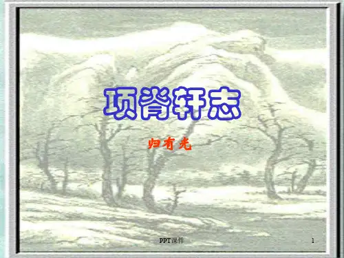 二十五 项脊轩志(公开课一等奖)  ppt课件
