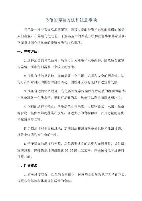 乌龟的养殖方法和注意事项