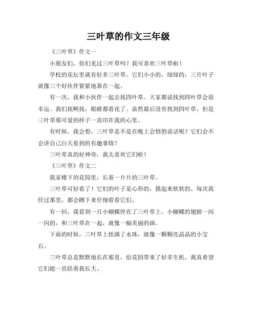 三叶草的作文三年级