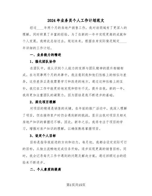 2024年业务员个人工作计划范文（七篇）