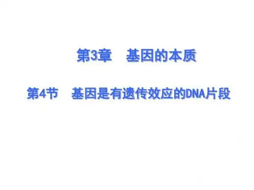 人教版高中生物必修二课件：第三章 第四节基因是有遗传效应的片段(共26张PPT)