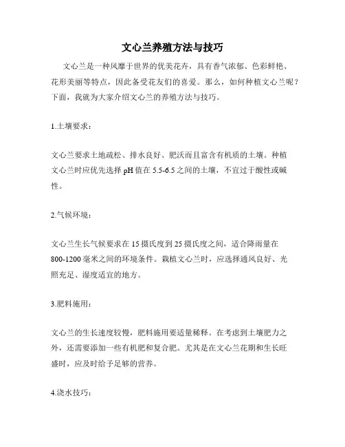 文心兰养殖方法与技巧