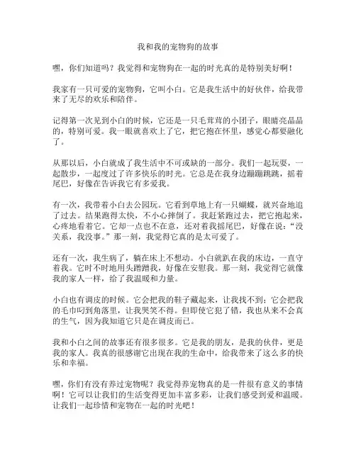 我和我的宠物狗的故事
