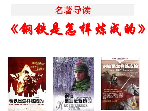 第六单元名著导读《钢铁是怎样炼成的》课件(共33张PPT)2021—2022学年部编版语文八年级下册