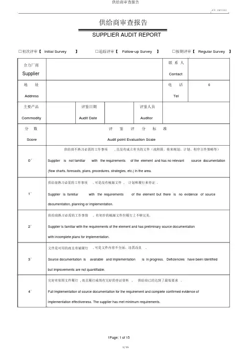 供应商审核报告