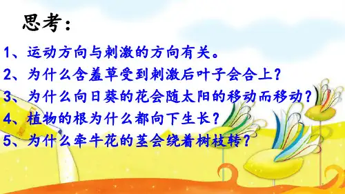 【推荐】六年级上册科学课件-1.1植物角里的科学问题 课后习题  ｜大象版 (共8张PPT)