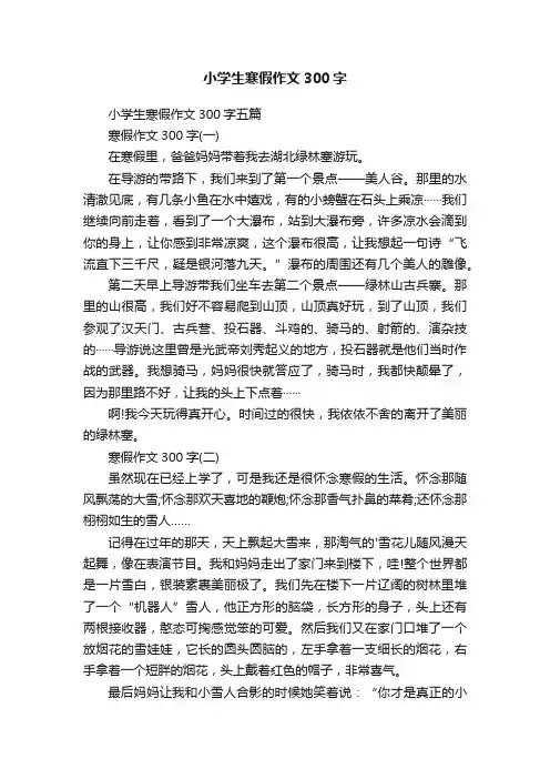 小学生寒假作文300字