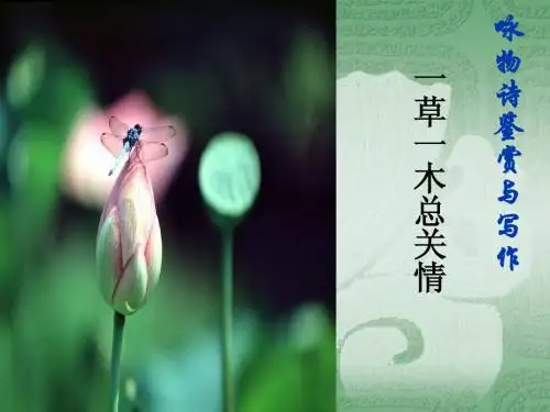 咏物诗歌鉴赏