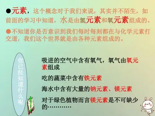 2018年九年级化学上册第三单元《物质构成的奥秘》3.3元素课件(新版)新人教版