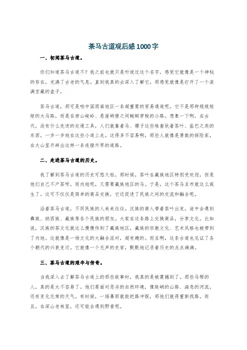 茶马古道观后感1000字