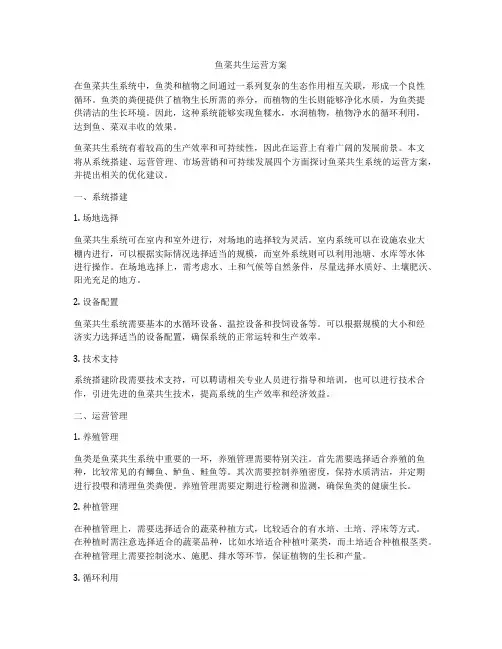 鱼菜共生运营方案
