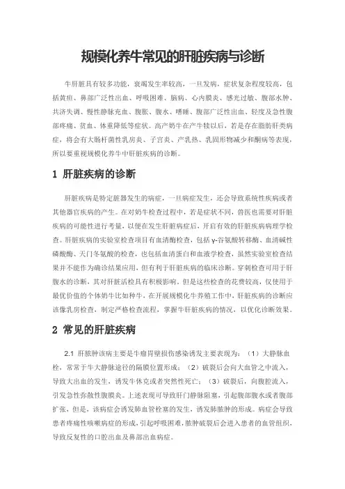 规模化养牛常见的肝脏疾病与诊断