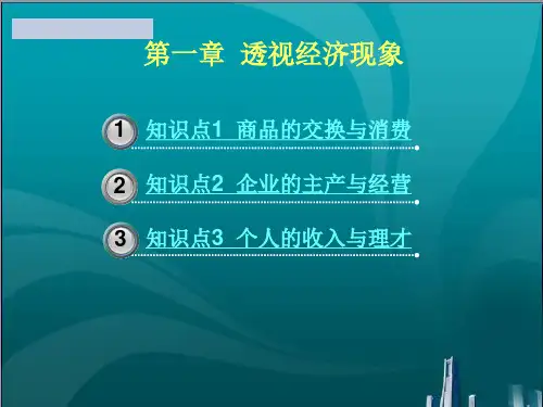透视经济现象