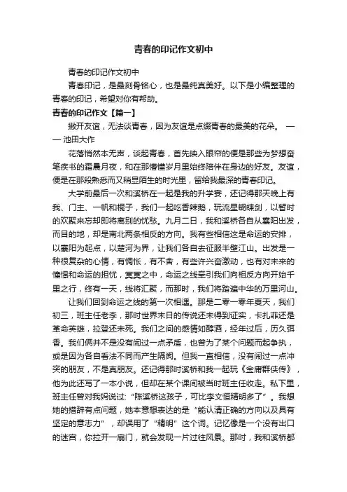 青春的印记作文初中