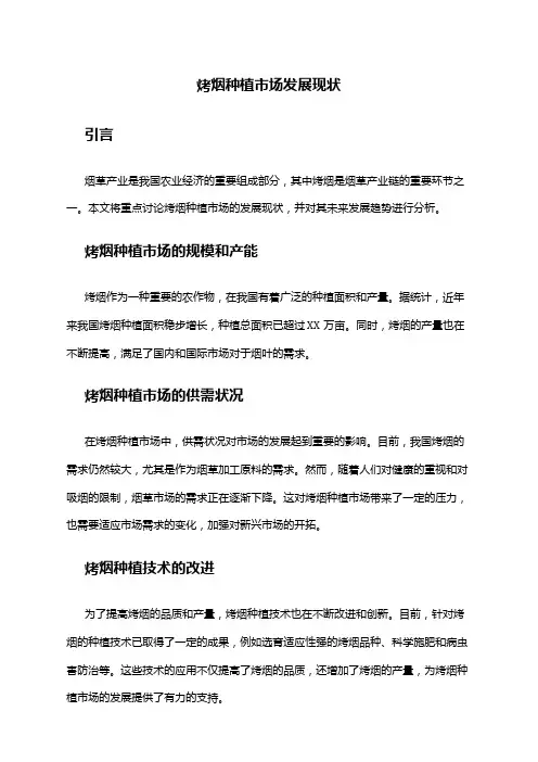2024年烤烟种植市场发展现状