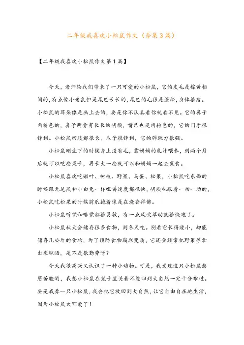 二年级我喜欢小松鼠作文(合集3篇)