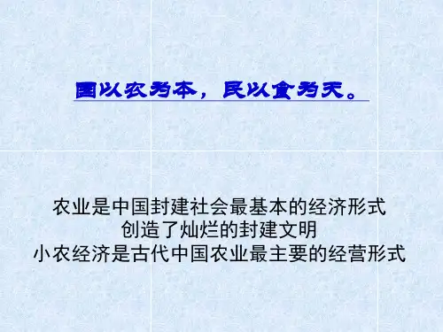 古代中国的小农经济