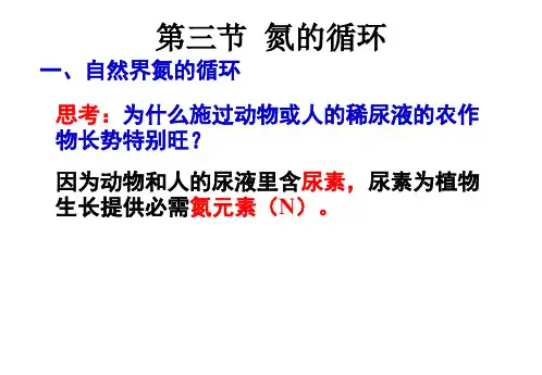 第三章物质的转化和元素的循环4.自然界中的氮循环[下学期]PPT课件(初中科学)