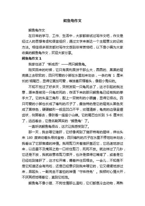 鳄鱼龟作文