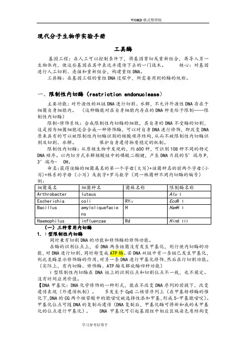 分子生物学实验常用工具酶总结