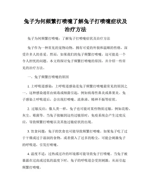 兔子为何频繁打喷嚏了解兔子打喷嚏症状及治疗方法
