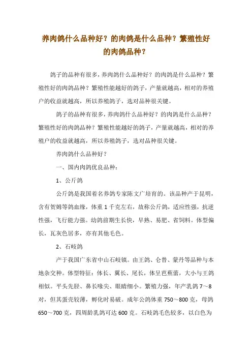 养肉鸽什么品种好？--的肉鸽是什么品种？繁殖性--好的肉鸽品种？