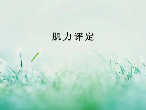 肌力评定PPT课件