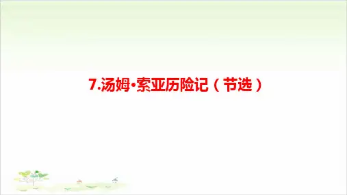 六年级下册语文ppt-《汤姆·索亚历险记(节选)》优秀课件-部编版