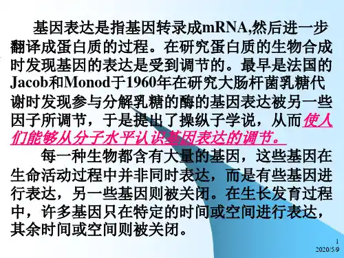 详细版——乳糖操纵子