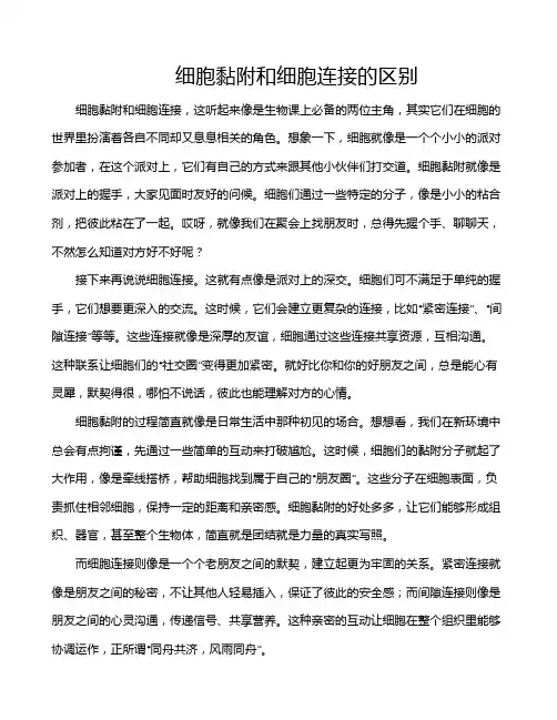 细胞黏附和细胞连接的区别