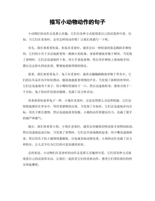 描写小动物动作的句子