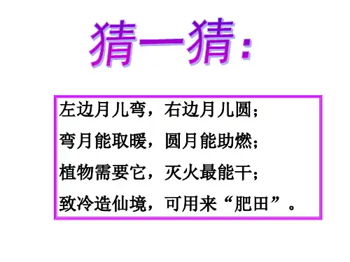 实验室制取二氧化碳PPT课件(初中科学)