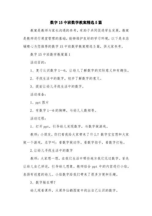 数字15中班数学教案精选5篇