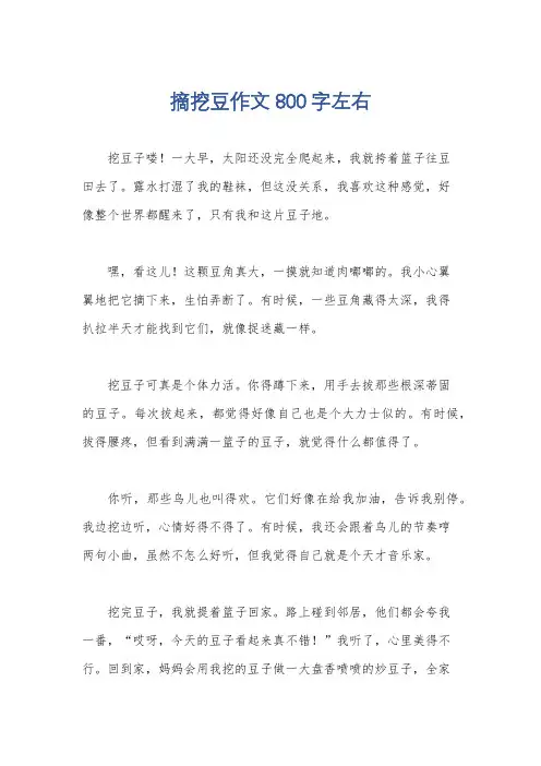 摘挖豆作文800字左右