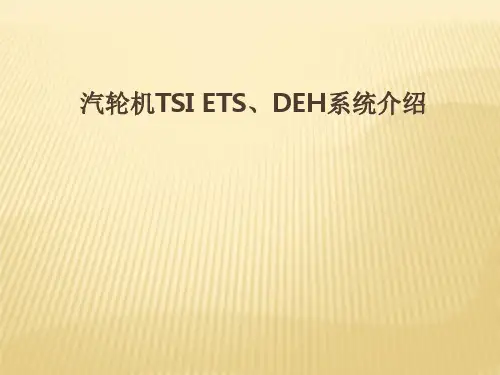 汽轮机TSIDEHETS系统介绍