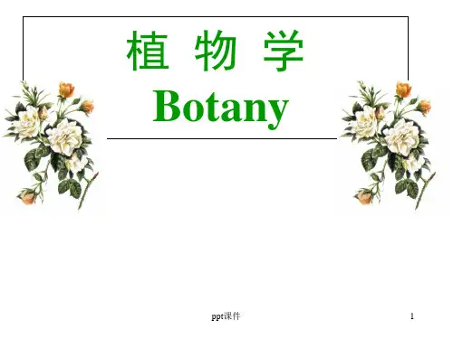 植物学--生殖器官——花  ppt课件全
