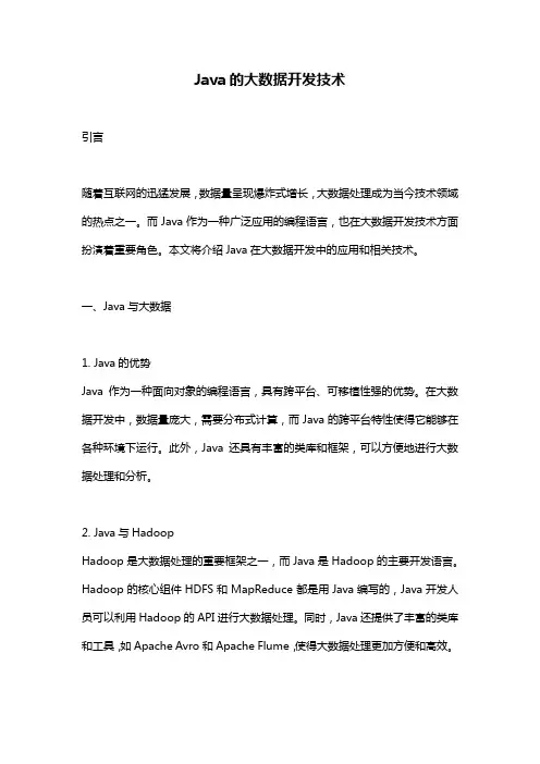 Java的大数据开发技术